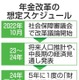 年金水準維持へ検討を本格化