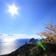 「一人暮らしの老後」を充実させるコツ3つ