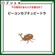 クイズです！「カブトムシで解ける暗号」って何？分かると気持ちいい【難易度LV３.・中辛】