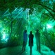 京都府立植物園の幻想的なアートイベント 「LIGHT CYCLES KYOTO」バージョンアップして復活！5月24日開演