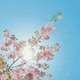 肩こりで“老け見え”が進行する!? 更年期にこそ取り入れたい、漢方×インナーケアのすすめ
