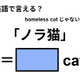 英語で「ノラ猫」はなんて言う？