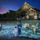 夜の京都で“納涼”アートイベント「NAKED meets 二条城 2025 夕涼み」幻想的な光演出や屋台も出店