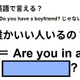 英語で「誰かいい人いるの？」はなんて言う？