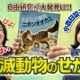 ふしぎがいっぱい絶滅動物のせかい6/24…学研YouTube配信