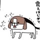 食いしん坊の愛犬・梅吉。「おやつを食べたすぎて」震え始めたその後に、まさかの…!!【パンダと犬 ＃５】