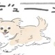ドッグラン大好きむっく…他の犬にあいさつを…その後に待つことは?!【うちのむっくはいつも楽しそう #４】