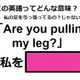この英語ってどんな意味？「Are you pulling my leg?」