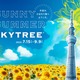 東京スカイツリー“天空のひまわり畑”テーマのイベント初開催＜SUNNY SUMMER SKYTREE（R）＞