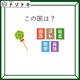 クイズです！「この国はどこ？」イラストを言語化しましょう【難易度LV２.・甘口】