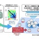 楽観性に共通する脳の働きを可視化…神戸大ら研究成果