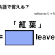 英語で「 紅 葉 」は何て言う？