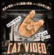 ネコ動画の祭典『CatVideoFest』日本初上映、チケット収益の一部は保護団体へ寄付