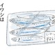 ムダなく食材を使い切る！安くて美味しい「イワシ」の簡単、楽チンな処理方法【激せまキッチンで時短！簡単！ムダなしごはん #31】
