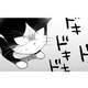 【猫視点】この家は全部私の場所なんだから！ 戦ってると、人間が泣いてる？怖かったのね…【同居人はひざ、時々、頭のうえ。 #41】