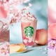 【スタバ新作】「桜 咲くよ 白桃 フラペチーノ」など3種登場 春は“白桃と桜”で選べる美味しさ