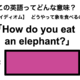 この英語ってどんな意味？「How do you eat an elephant?」
