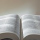 英単語や文法は知っているハズなのに…長文になると読めない！書けない‼生成AIで「英語力」が伸びるってホント？【使い方実例つき】