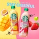 セブン限定スタバ新シリーズ登場 “フルーツ×ティー×ミルク”のご褒美時間にぴったりな2種