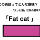 この英語ってどんな意味？「Fat cat」