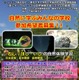 【夏休み2026】東大メタバース工学部、小・中・高校生向け3講座