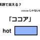 英語で「ココア」は何て言う？