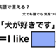 英語で「犬が好きです」は何て言う？