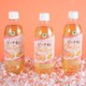 “再販希望1位”ファミマのAfternoon Tea監修「ピーチ香るティーソーダ」数量限定で復活