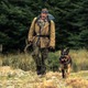ブラッド・ピット演じる退役軍人と義足の愛犬、互いを支え合う固い絆…『ハート・オブ・ビースト』予告編