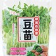 その豆苗、本当に新鮮？ プロが教える「おいしい豆苗」の見分け方と長持ちさせる保存術