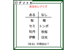 あるなしクイズです！「桜にあって梅にない！」答えは美味しいアレ！【難易度LV２.・甘口】