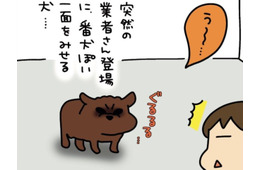 我が家の犬は、まるで「イキってる中学生」狂犬と見せかけて、実際は…【うちはおっぺけ 3姉妹といっしょ 10 #１】