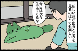 背中に次々と新芽が生えてくる！ 見るのが楽しくて、猫を観察してみたら？【ねこもんすたー スリスリ＃11】