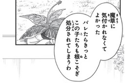 「気付かれなくてよかった」魔法を使える能力を隠していた理由【双子王子の継母になりまして #４】
