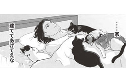 猫が遊べる「家」建てたい…飼い主を放っておかない猫ライフ？【借金1000万作曲家の人生を変えてくれた猫の話 #10】