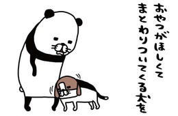 愛犬の顔をよくよく観察。なにやら「わさわさ」している存在が…【パンダと犬 ＃14】