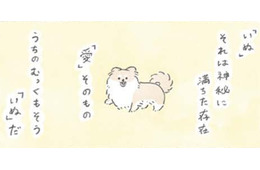 犬の神秘…むっくは胸毛もふわふわ過ぎて「愛」そのものの存在か?!【うちのむっくはいつも楽しそう #９ 】