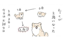 愛犬むっくの誕生日…楽しいことがいっぱいあるらしいと理解した様子だが？【うちのむっくはいつも楽しそう #10 】