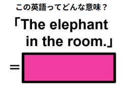 この英語ってどんな意味？「The elephant in the room. 」