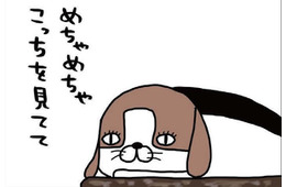 大仕事がひと段落！愛犬に見せたくてたまらない景色とは？【パンダと犬 ＃22】