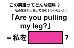 この英語ってどんな意味？「Are you pulling my leg?」
