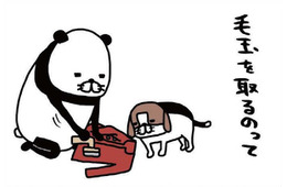 毛取り機でジョリリ～と毛玉除去♪ 愛犬も見守って楽しそう⁉【パンダと犬 ＃25】