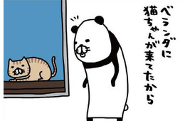 ベランダに猫ちゃん発見。愛犬・梅吉に見せてあげると、お互い同じ反応…【パンダと犬 ＃34】