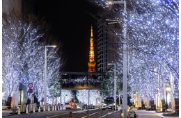 六本木ヒルズ冬の風物詩「けやき坂イルミネーション」11月4日点灯、恒例のクリスマスマーケットも開催