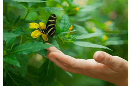 虫が大の苦手な私　洗濯物も外に干せなかったが⇒出産を機に「自分でもびっくり」
