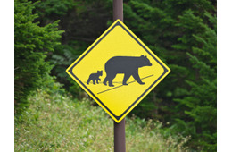 命よりも仕事⁉ クマの気配に怯え、混浴の露天風呂で見知らぬ女性と星空を眺める。63歳で山小屋の歩荷バイト、やってみた