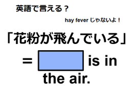英語で「花粉が飛んでいる」は何て言う？