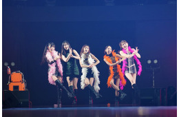 「オールナイトフジコ」フジコーズ、一夜限りの復活に歓声上がる「ウェーイTOKYO」披露 【AGESTOCK2026】