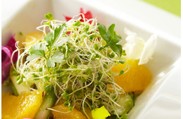 がん予防の権威である医師開発の野菜って！？ビタミンCよりも抗酸化力が長時間続き、老化予防にも最適で「しかもワンコイン以下」スーパーフードとは