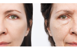 「老化は自然現象ではなく、コントロールできる病気」。老化抑制する成分がブロッコリーの７倍もある野菜とは